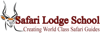 Safari Lodge School