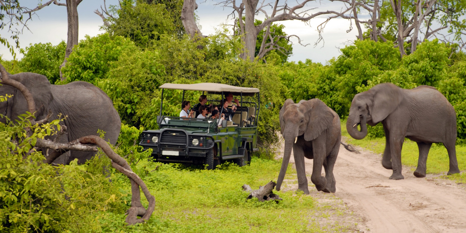 safari park jobs